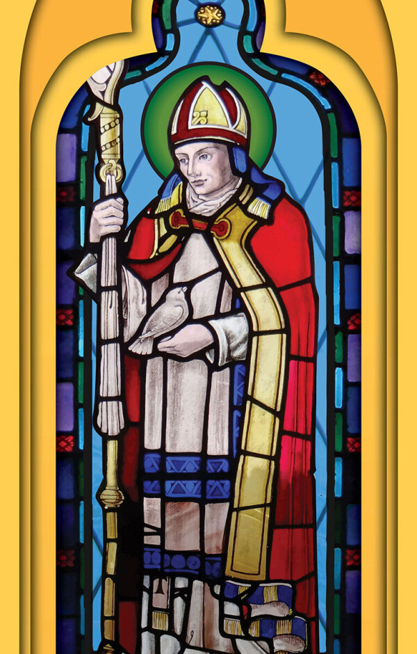 Columba Image